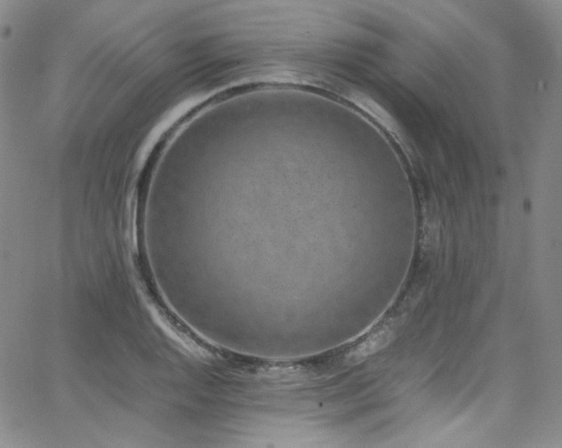 X0000062631128200512211222