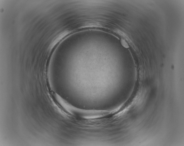 X0000062631129200512211222