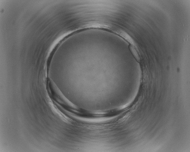 X0000062631132200512211222