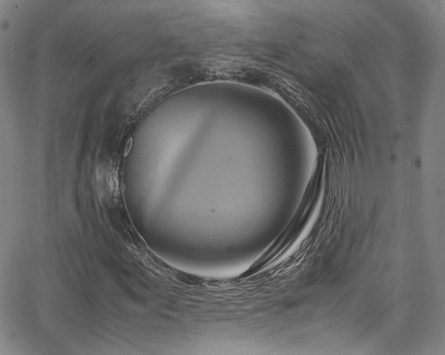 X0000062631155200512211221