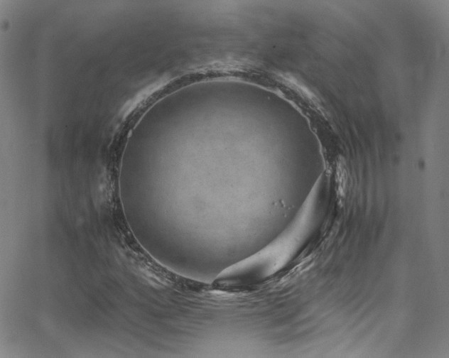 X0000062631160200512211221
