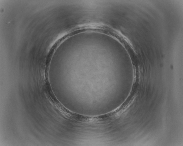X0000062631166200512211221