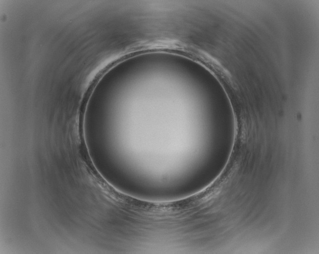 X0000062631174200512211221