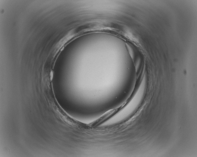 X0000062631177200512211221