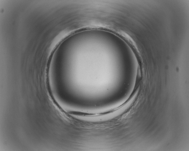 X0000062631183200512211221
