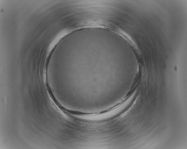 X0000062631188200512211221