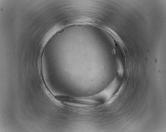 X0000062631196200512211221