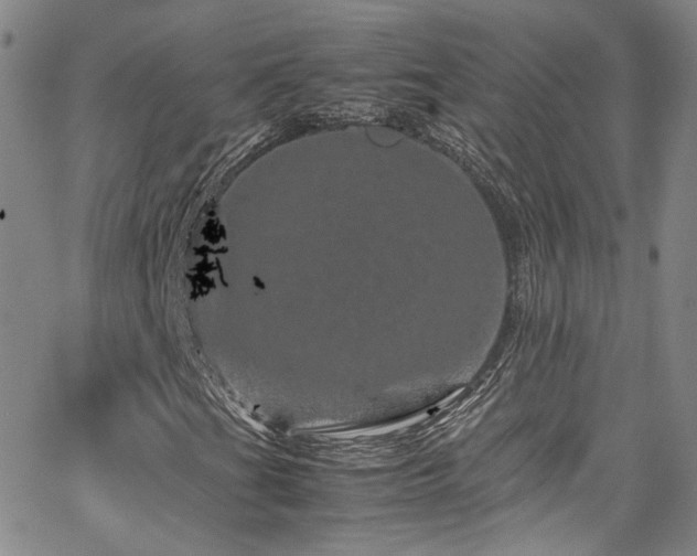 X0000062631201200512211220