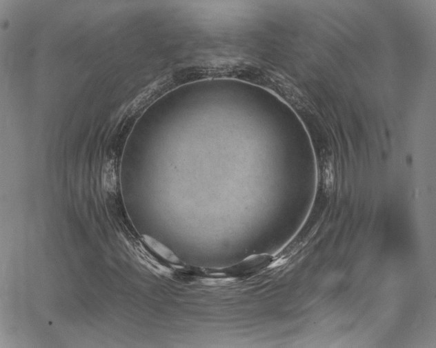 X0000062631204200512211220