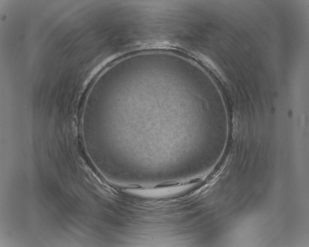 X0000062631212200512211220