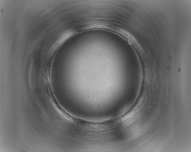 X0000062631241200512211221