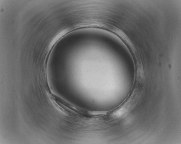 X0000062631242200512211221