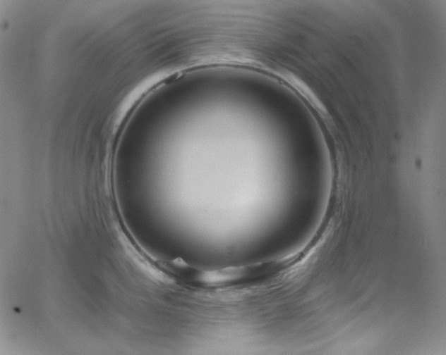 X0000062631246200512211221