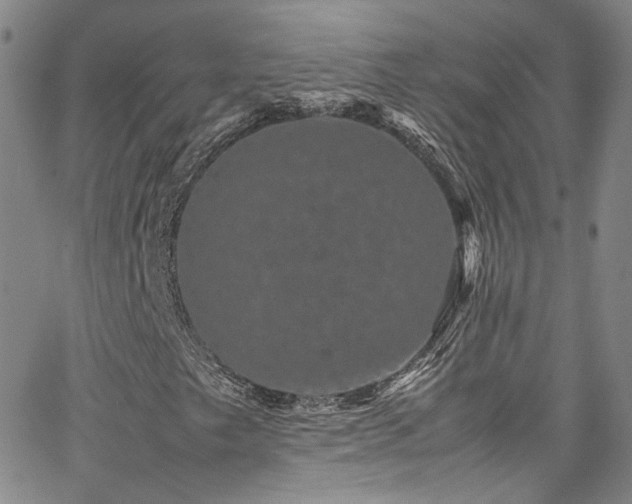 X0000062631249200512211220