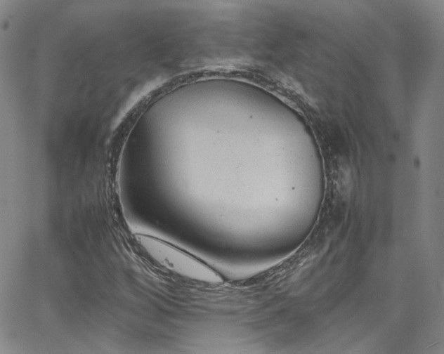 X0000062631256200512211220