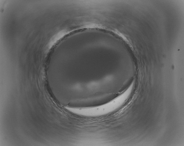 X0000062631263200512211220