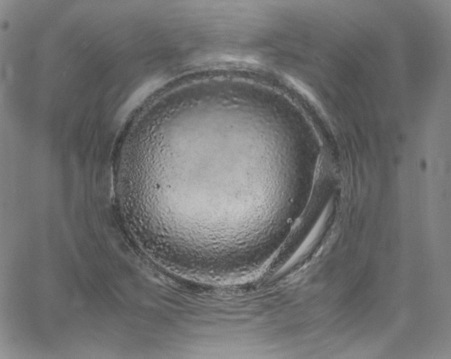 X0000062631267200512211220