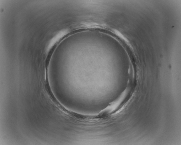 X0000062631269200512211219