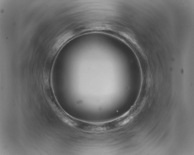 X0000062631273200512211219