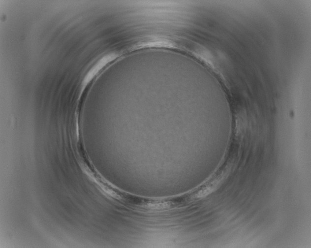 X0000062631274200512211219