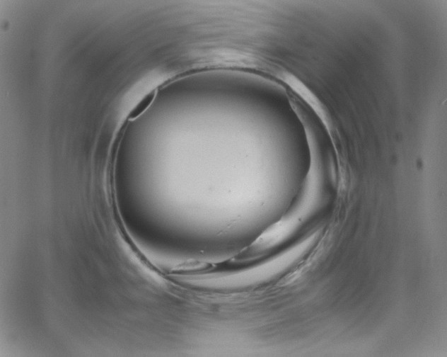 X0000062631293200512211219