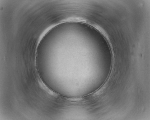 X0000062631296200512211219