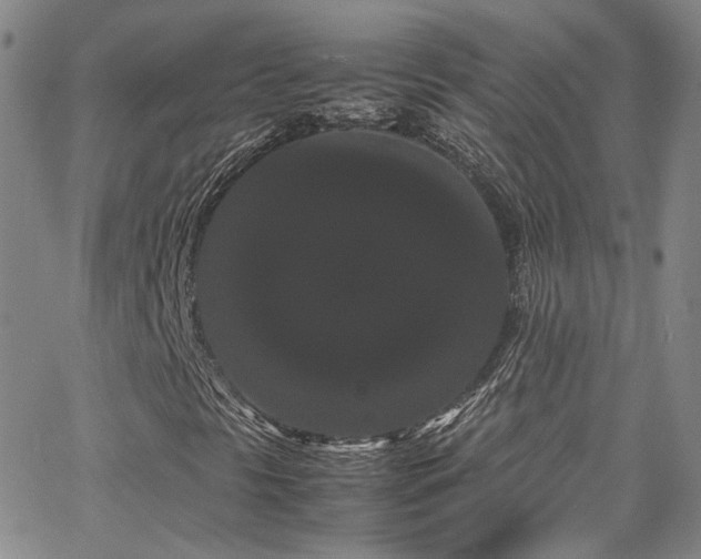 X0000062631297200512211218