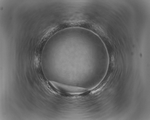 X0000062631300200512211218