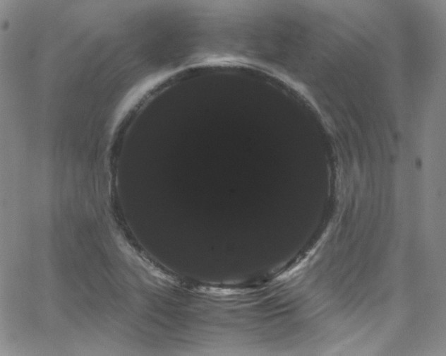 X0000062631319200512211219