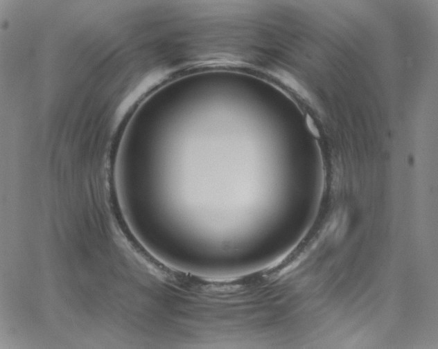 X0000062631325200512211219
