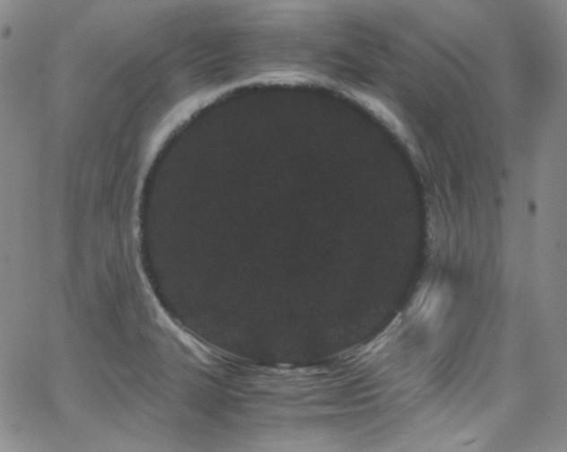X0000062631327200512211219