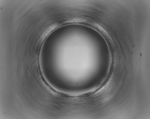 X0000062631329200512211219