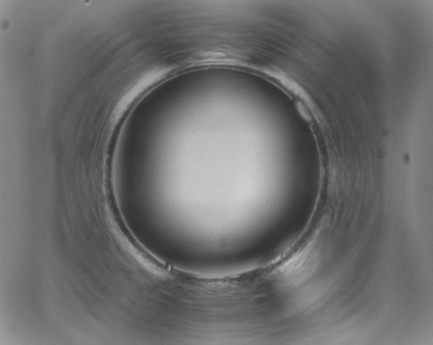 X0000062631333200512211219