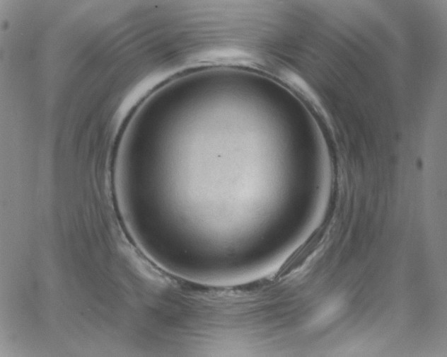 X0000062631336200512211219