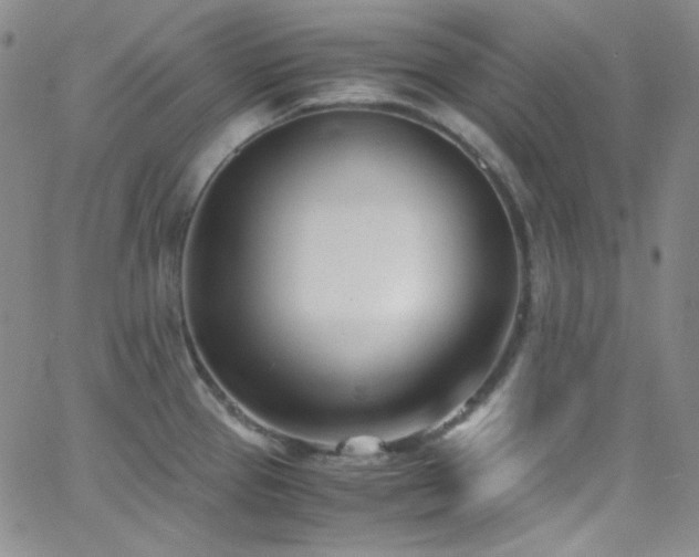 X0000062631337200512211219