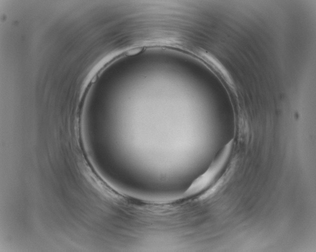 X0000062631340200512211219
