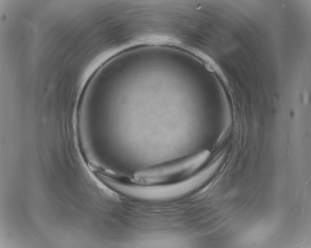 X0000062631343200512211219