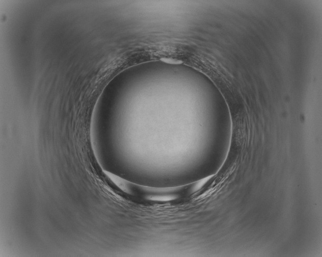 X0000062631345200512211218