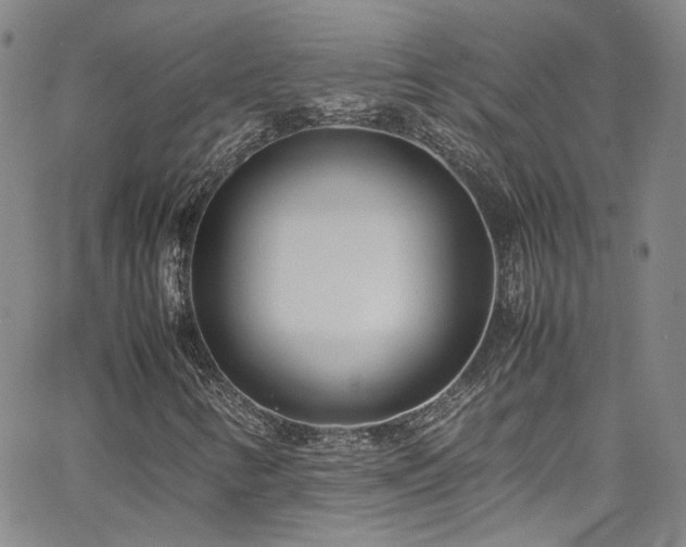 X0000062631346200512211218