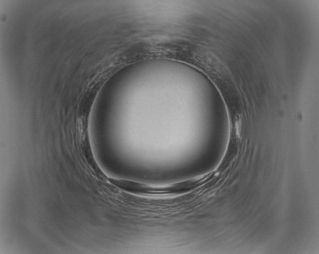 X0000062631347200512211218