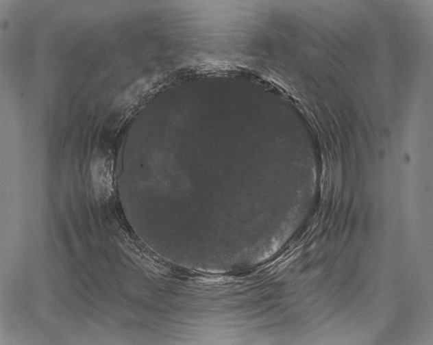 X0000062631348200512211218