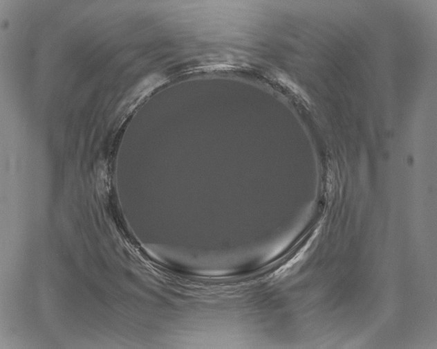 X0000062631353200512211218