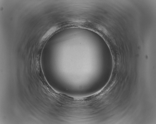 X0000062631354200512211218