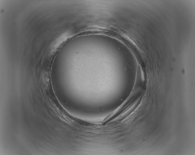 X0000062631355200512211218