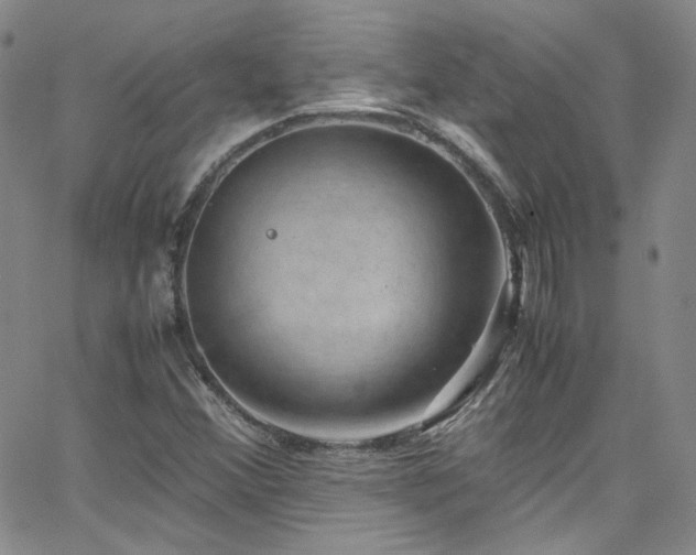 X0000062631356200512211218
