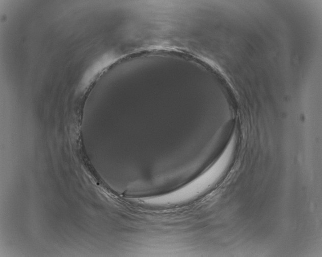 X0000062631359200512211218