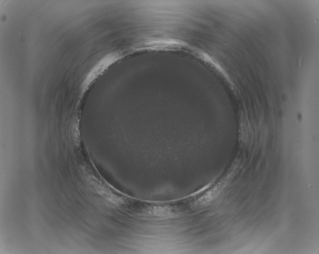 X0000062631362200512211218