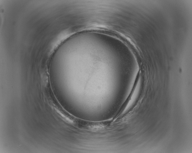 X0000062631363200512211218