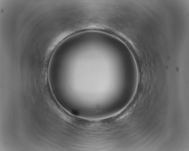 X0000062631367200512211218