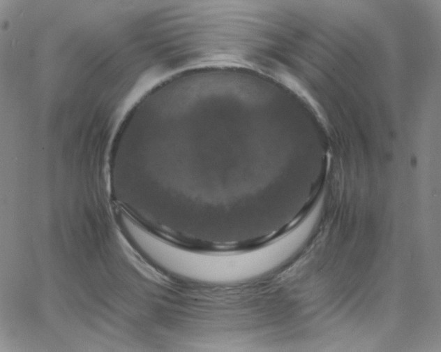 X0000062631372200512211218